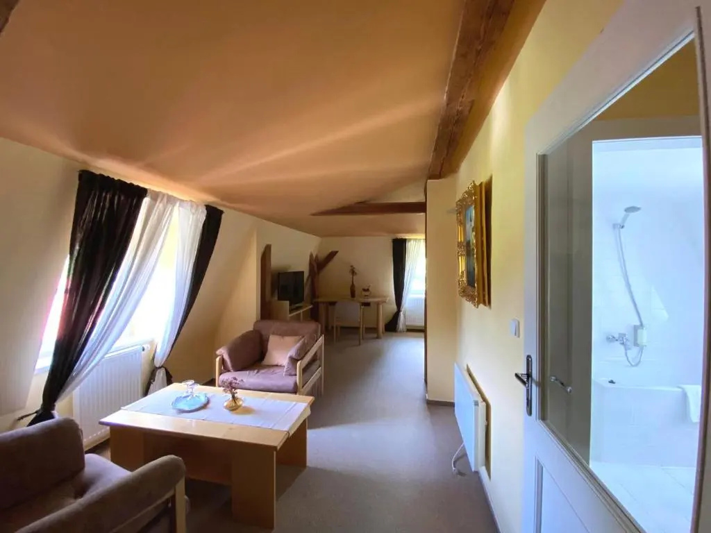 Hotel Zámeček na Čeladné - Chambres