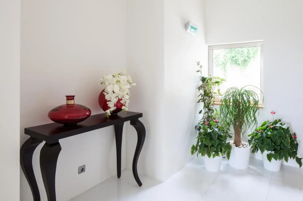 Casas Novas Countryside Hotel Spa & Events - Général