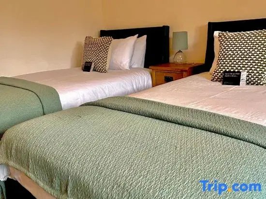 Deluxe Double room (twin beds)