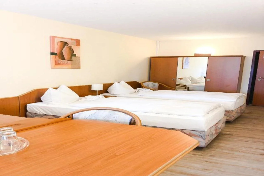 Hotel Stadt Mühlhausen - Général