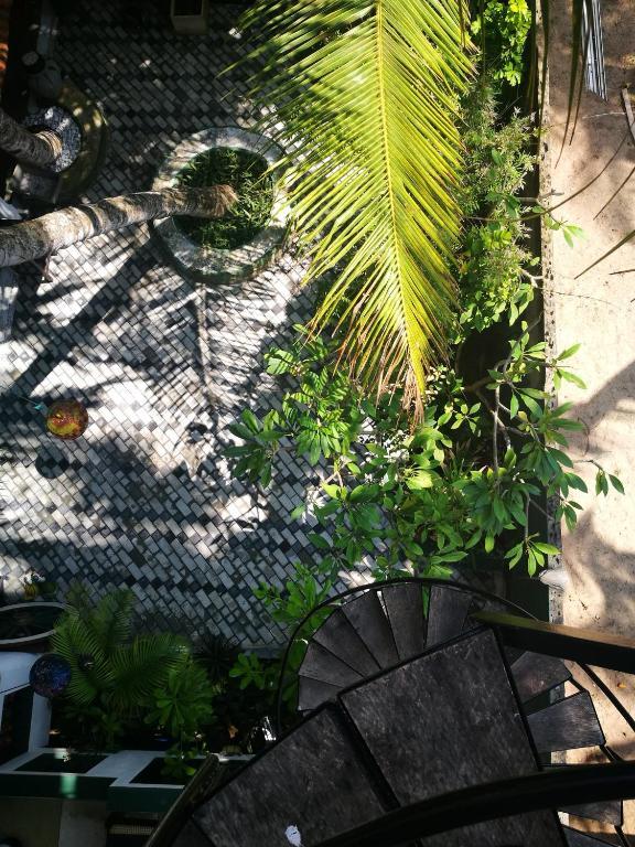 Frangipani Beach Villa