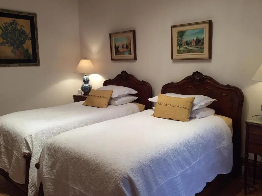 Superior Double room with garden view (twin beds)