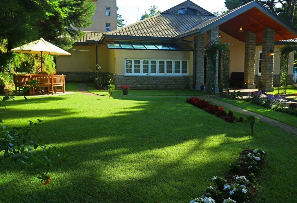 The Firs - фото 17