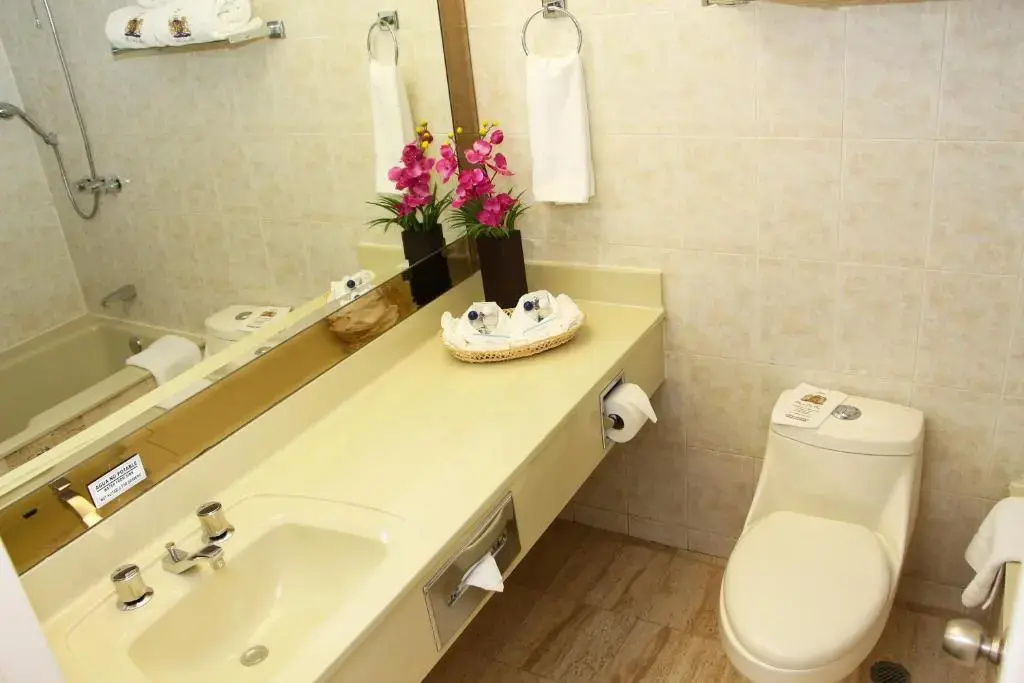 Standard Double room (twin beds)