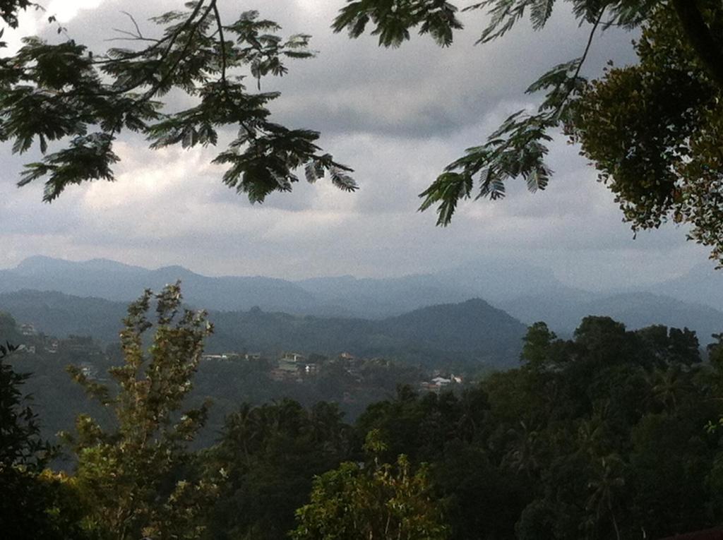 Villa Shenandoah