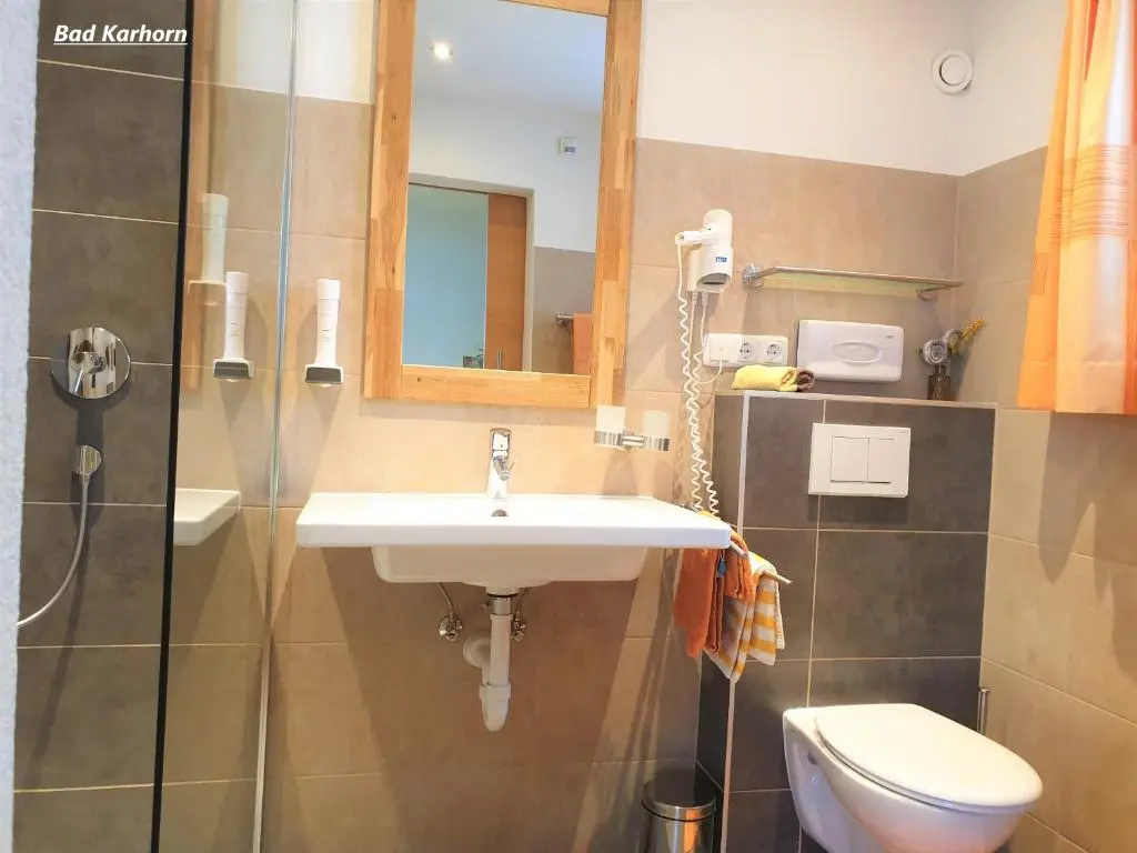 Standard Double room (full double bed)