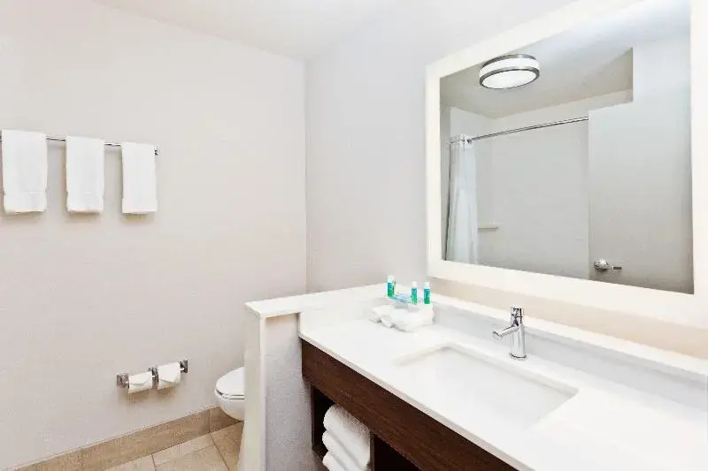 Holiday Inn Express & Suites Cartersville By IHG - Chambres
