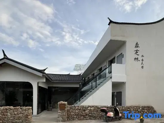 SENZHILIN Homestay LIJIANG