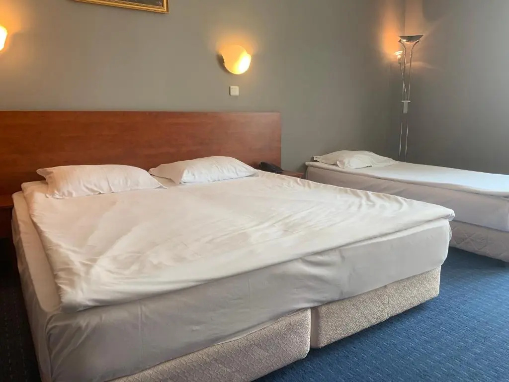 Sveta Sofia Hotel - Chambres