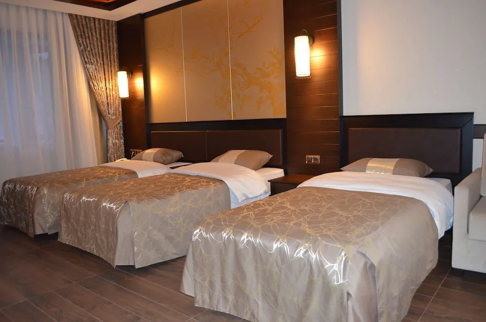 Sarikamis White Park Hotel - Chambres