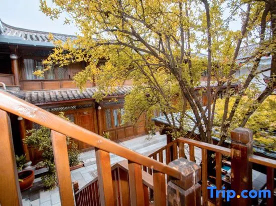 Balcony & Terrace