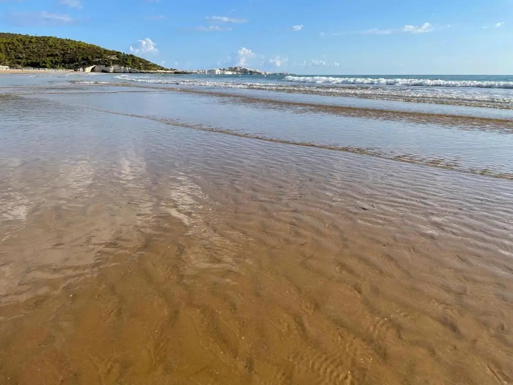 Beach & Waterfront
