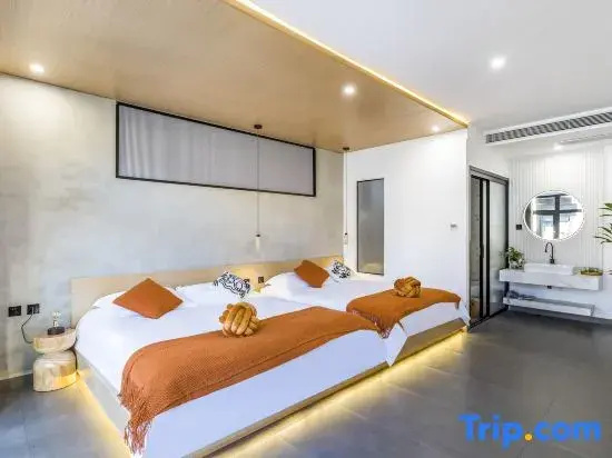 Deluxe Double room (twin beds)