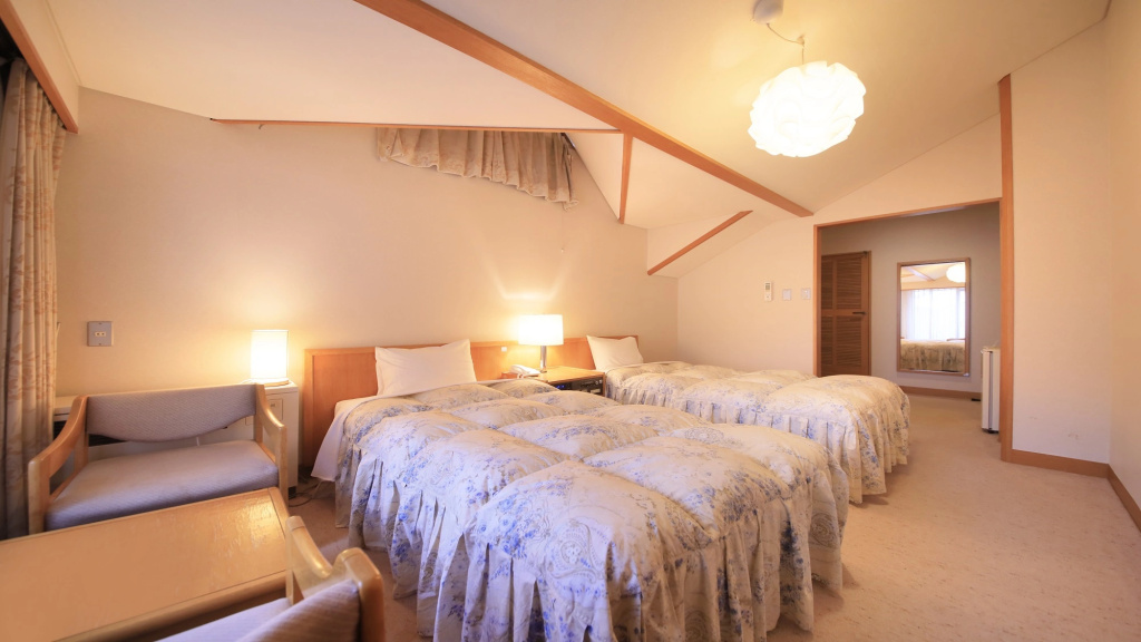 Standard Double room (twin beds)