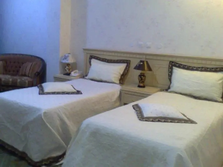 Standard Double room (twin beds)