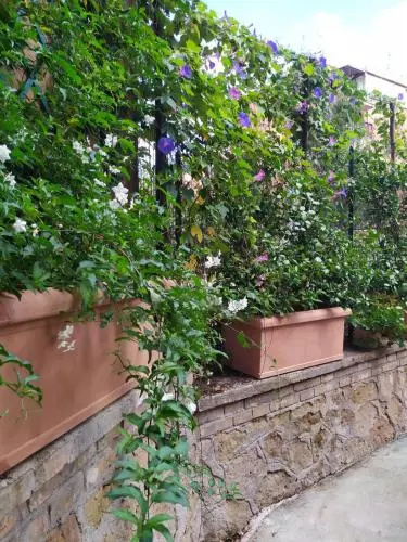 Angolo Sul Giardino - Général