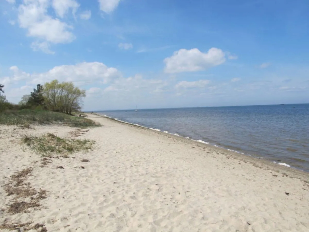 Beach & Waterfront