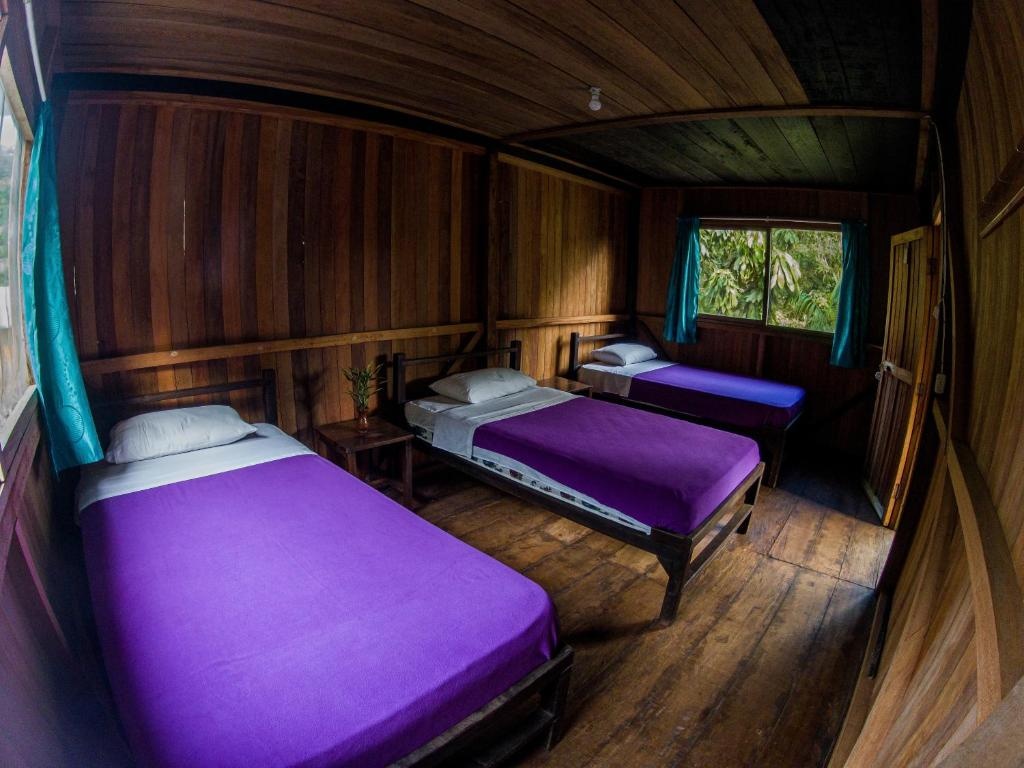 Playa Selva Lodge — 3