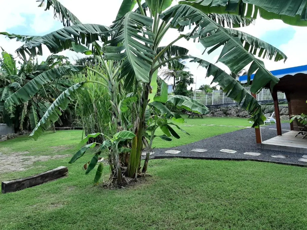 Les Gites Du Bonheur/Kite Surf