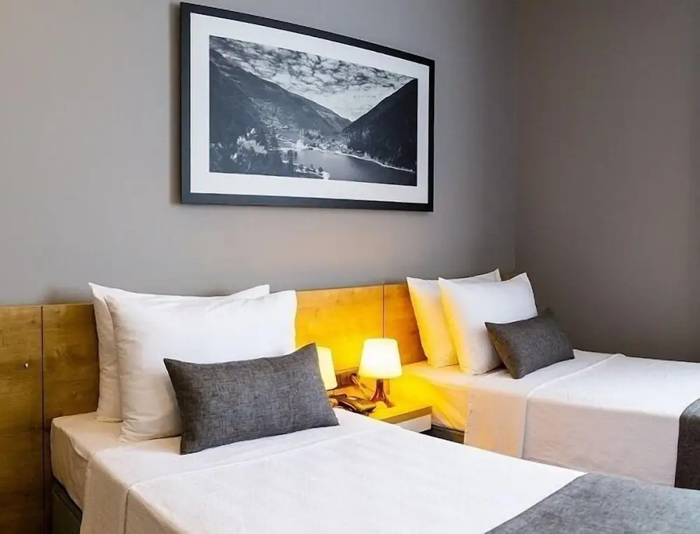 Standard Double room (twin beds)