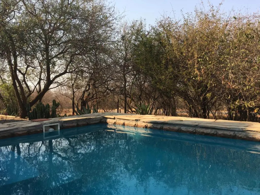 Giraffe Lodge - Chambres