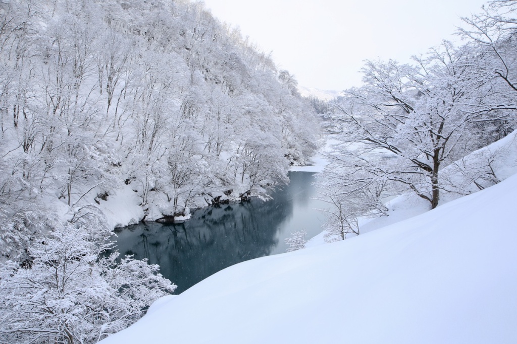 Sakamaki Onsen Kawatsuya in Tsunan