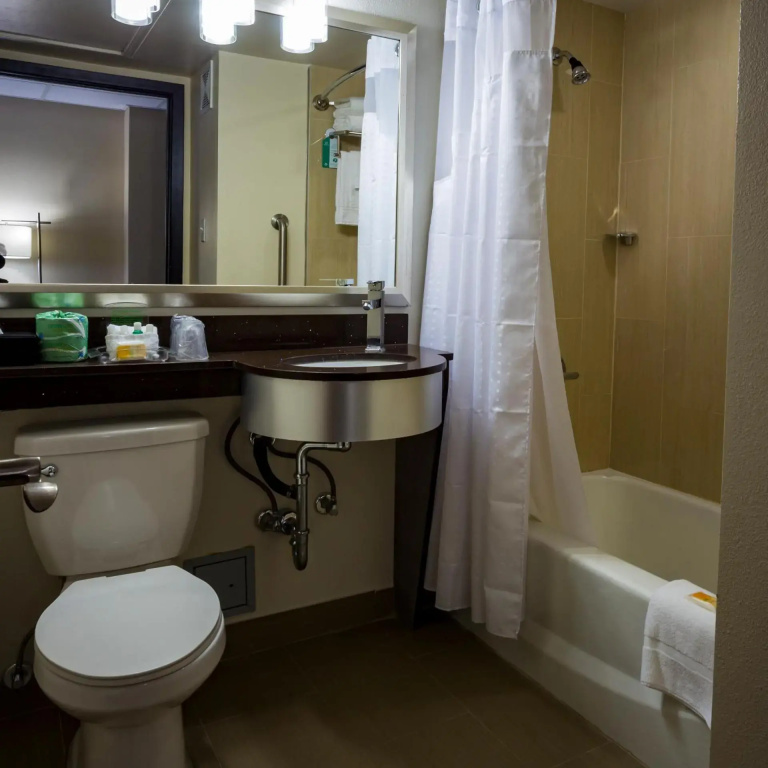 Holiday Inn Houston Downtown by IHG - Général