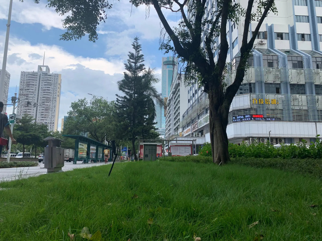 INSAIL Hotel (Shenzhen Dongmen Branch ) - Général