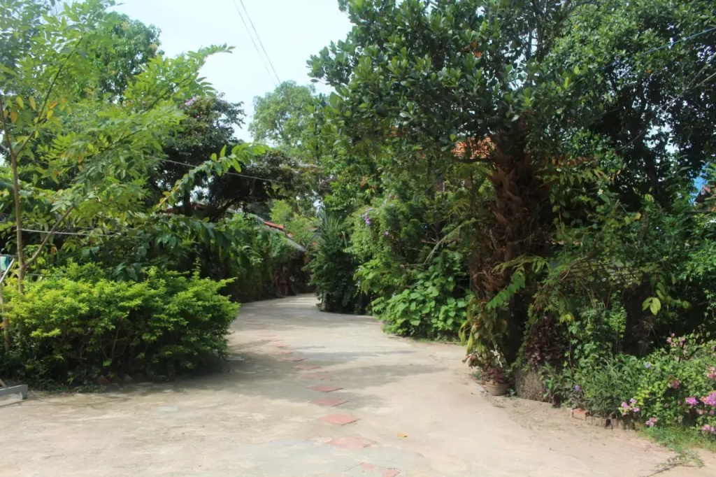 Garden Guesthouse - Général