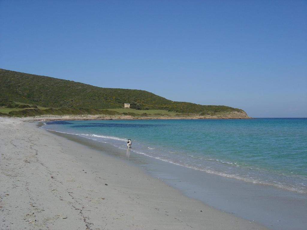 Stella Marina - Général