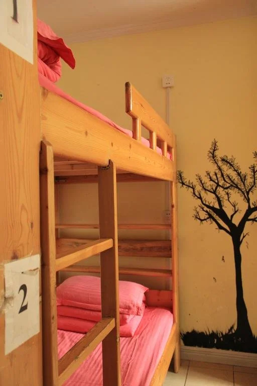 Urumqi White Birch International Hostel