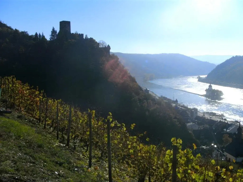 Weingut Am Löwenkopf - Général