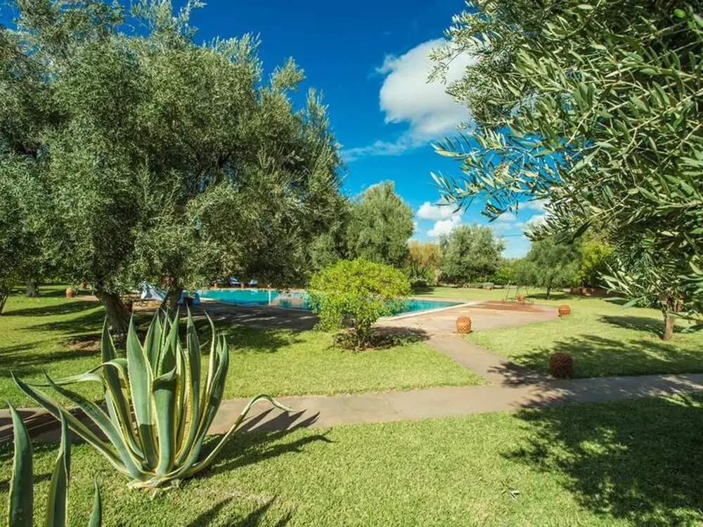 Villa les Oliviers 2 Bedrooms - A Setting of Tranquility - фото 48