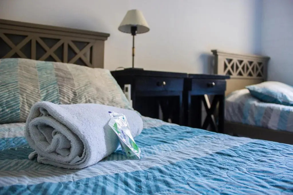 Standard Double room (twin beds)