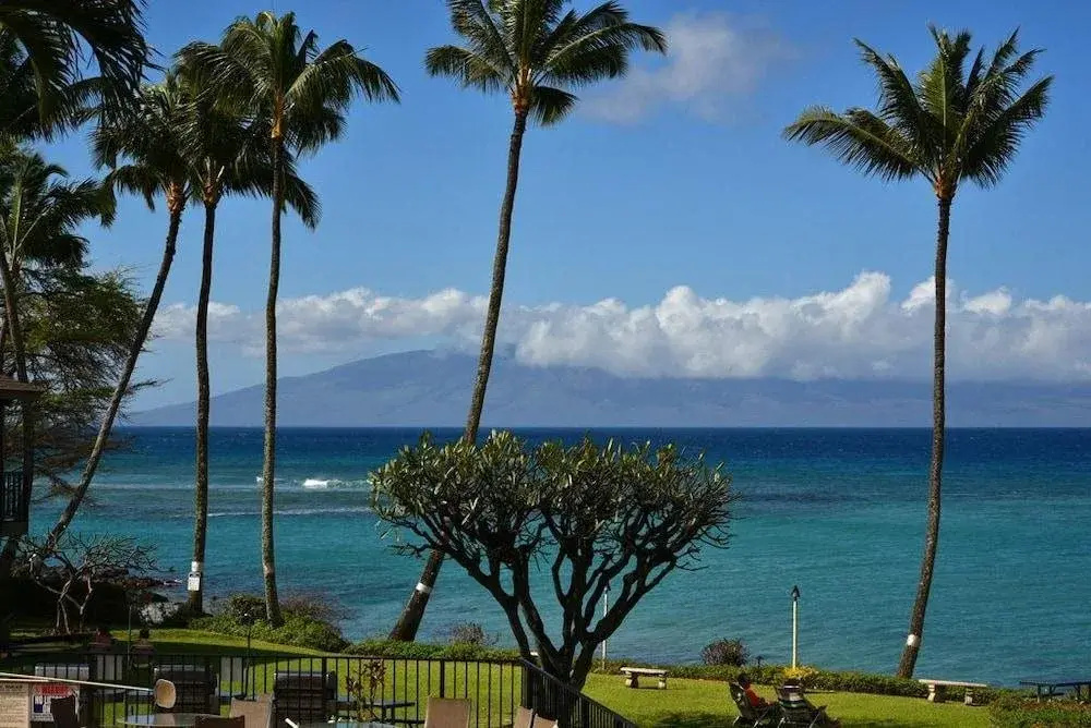 Polynesian Shores - Général