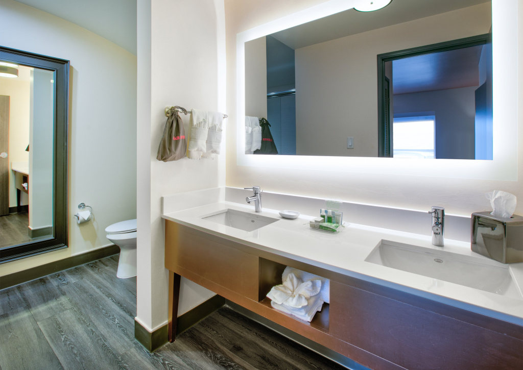 Holiday Inn DFW South by IHG - Général