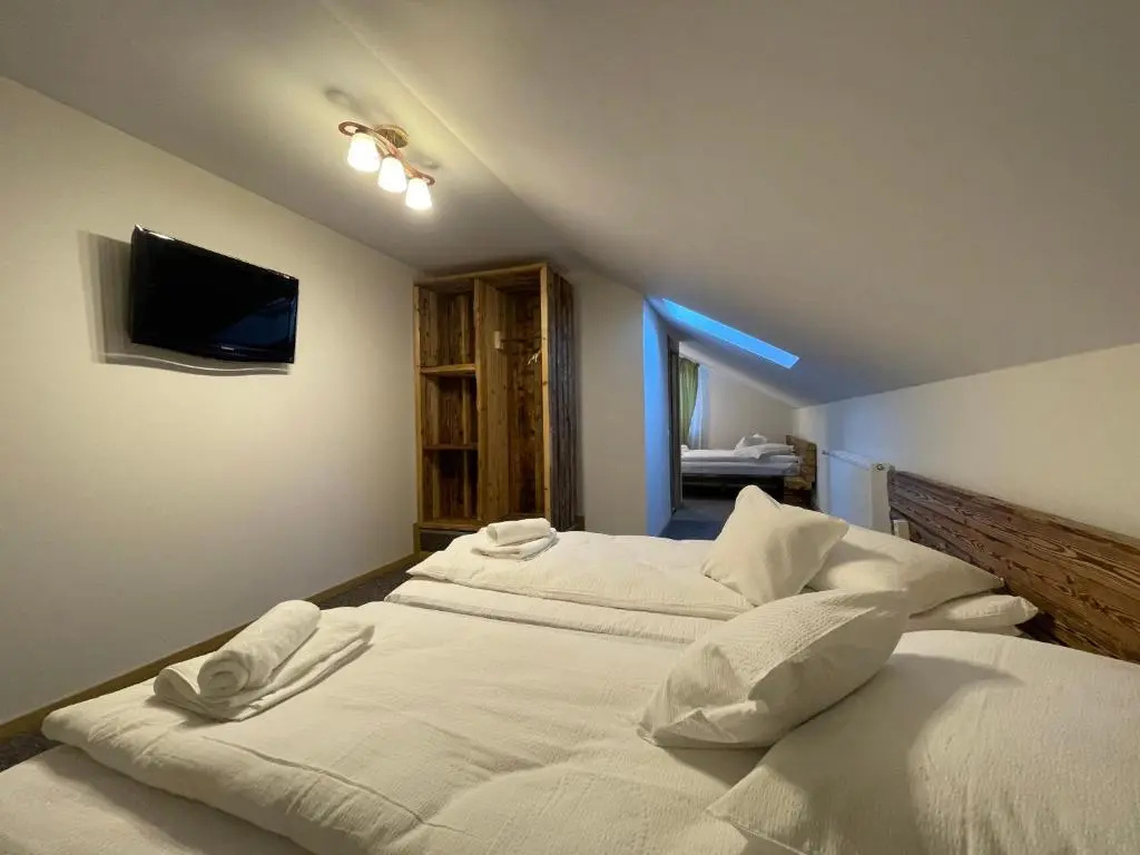 Pensiunea Vis Alpin Belis - Chambres