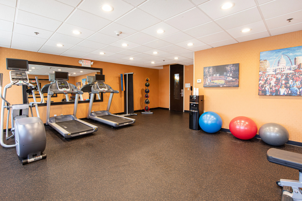 Holiday Inn St. Louis Arpt West-Earth City by IHG - Général