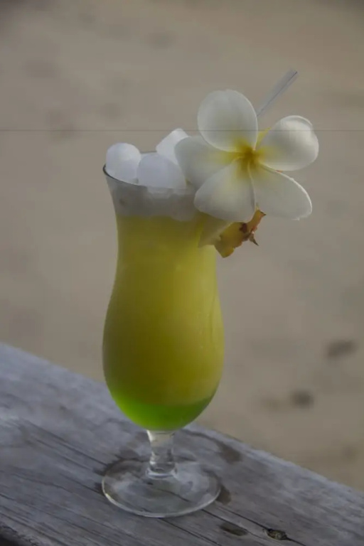 Savaii Lagoon Resort - Général