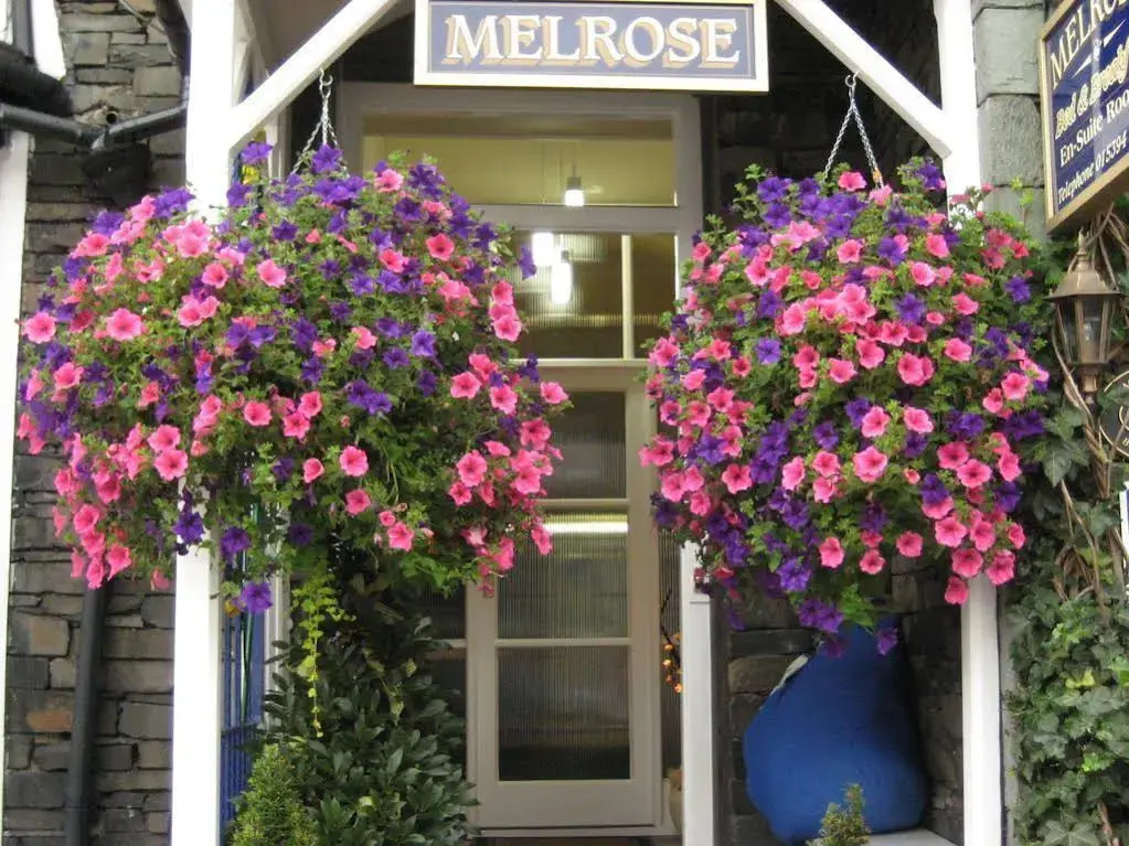 Melrose Guest House