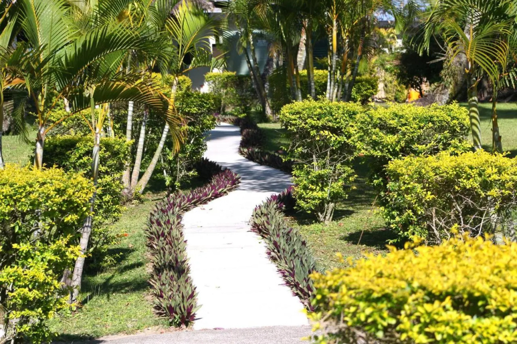 Hotel photo 37