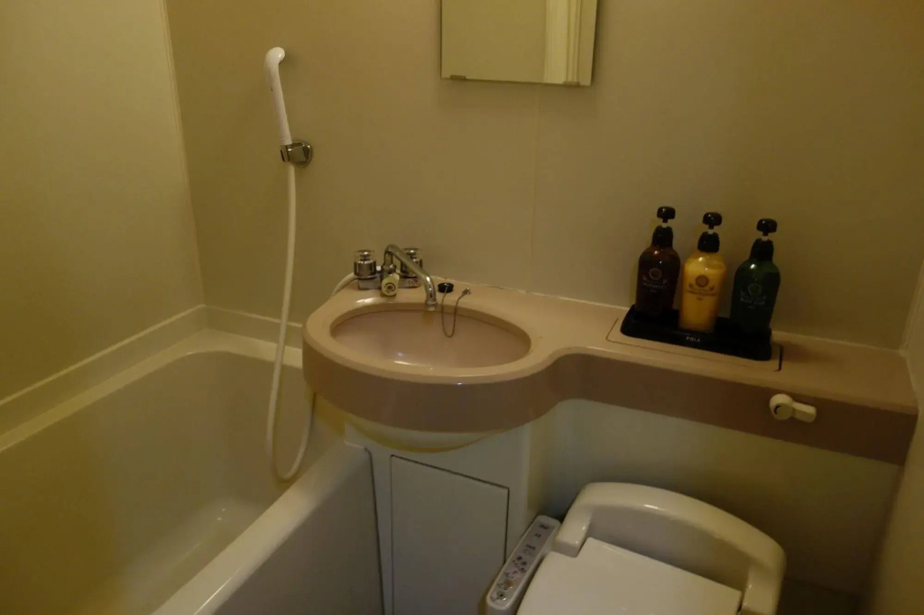 Dormy Inn Express Asakusa Hot Spring - Général