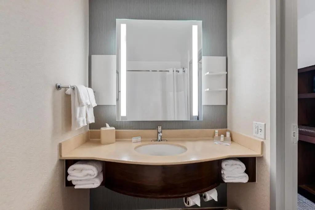 Hilton Garden Inn New Orleans French Quarter/CBD - Chambres