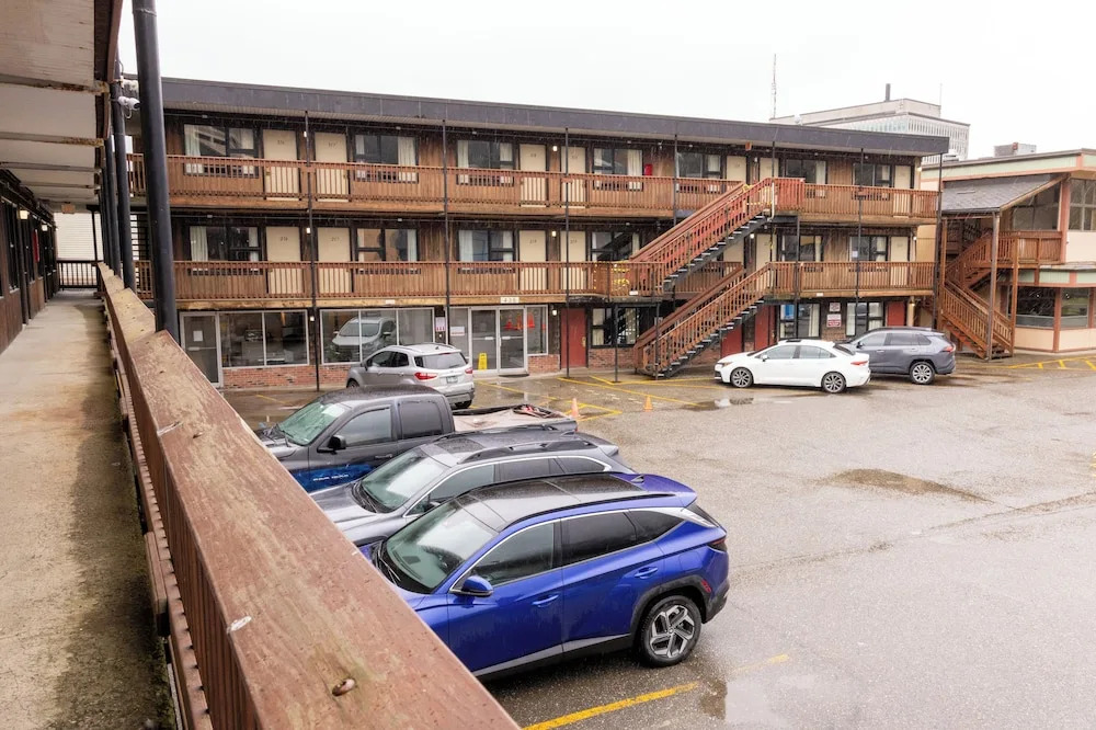 The Driftwood Lodge by null