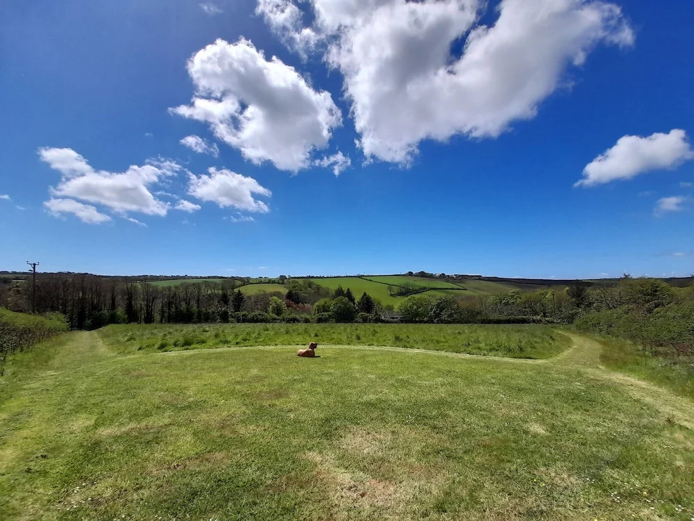 Higher Lampra