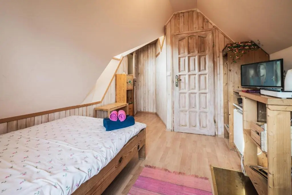 Standard Double room (full double bed)