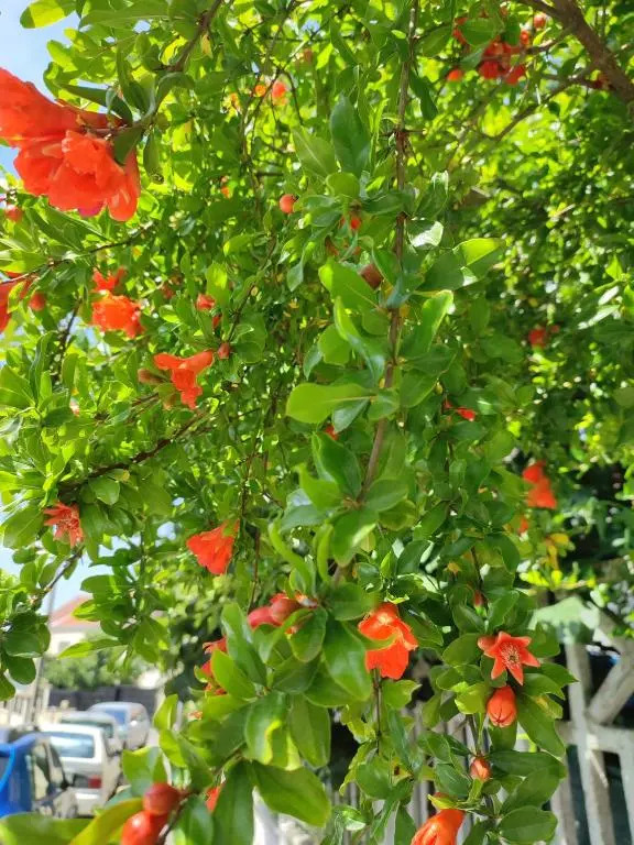 Logement calme et ensoleillé dans maison de ville — фото 4