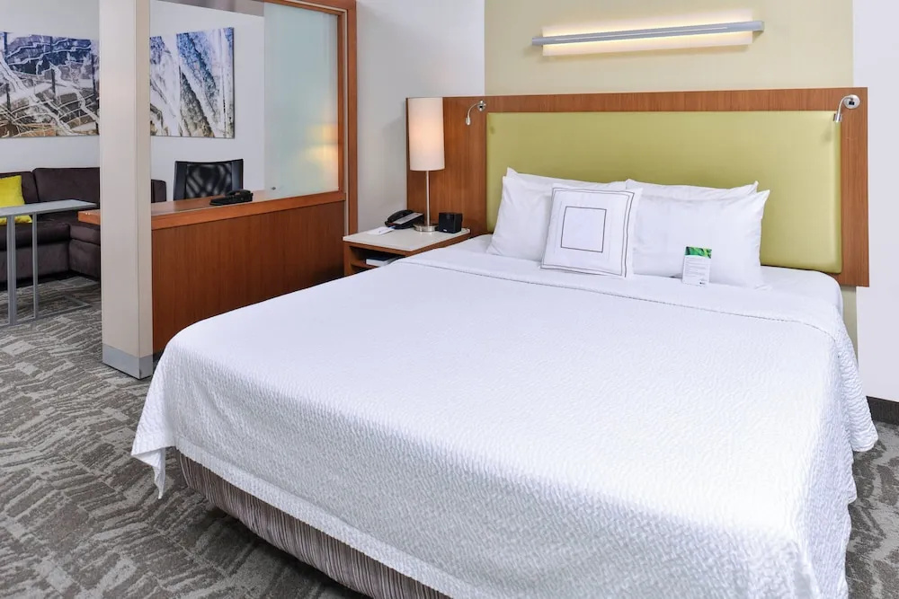 SpringHill Suites by Marriott Detroit Metro Airport Romulus - Chambres