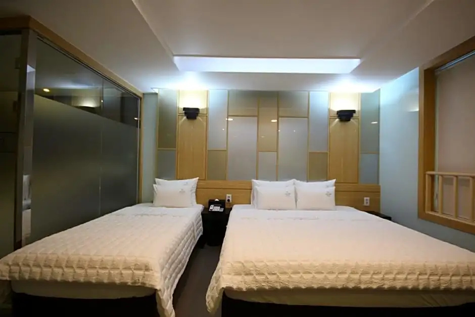 Deluxe Double room (twin beds)