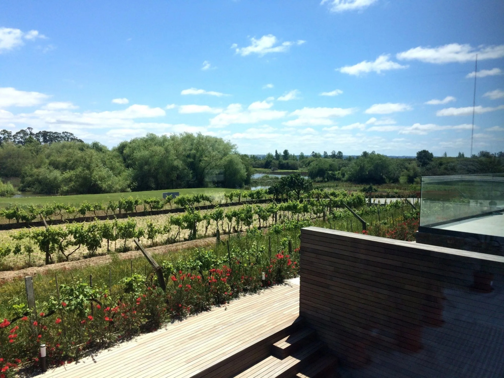 Garça Real Hotel & Spa - Général